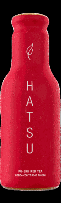 Tè Hatsu Rojo
